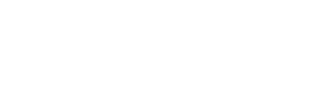 DEVISU12 logo trasparente pianco orizzonatale