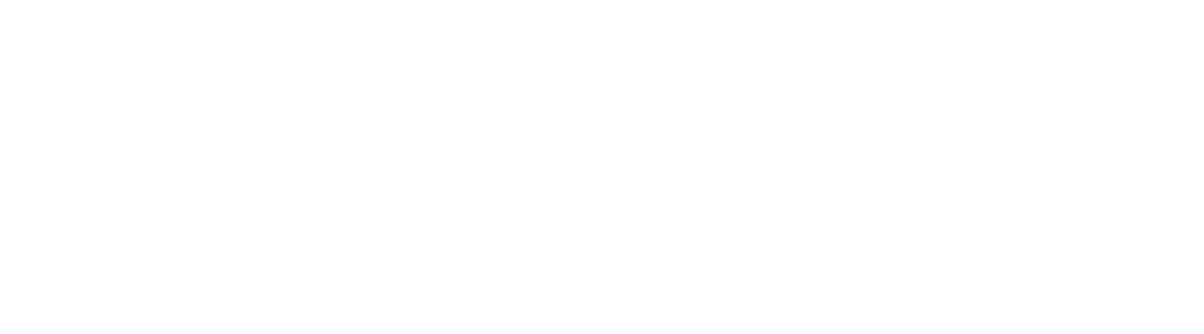 DEVISU12 logo trasparente pianco orizzonatale